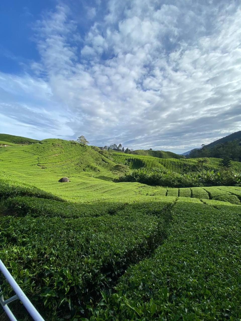 Love Lodge Brinchang, Cameron Highlands Tanah Rata Extérieur photo